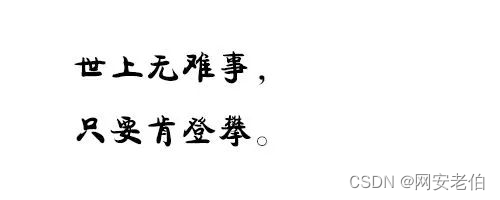 【附学习笔记】成为黑客后直接杀疯了，0基础挑战入门到精通