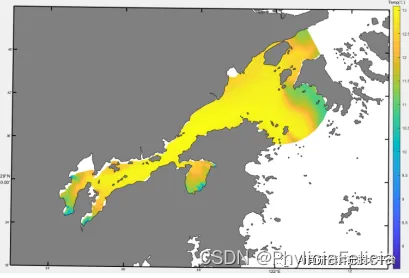 全流程FVCOM水环境、污染物迁移、水交换、水质、潮流、温盐、波浪及泥沙数值模拟