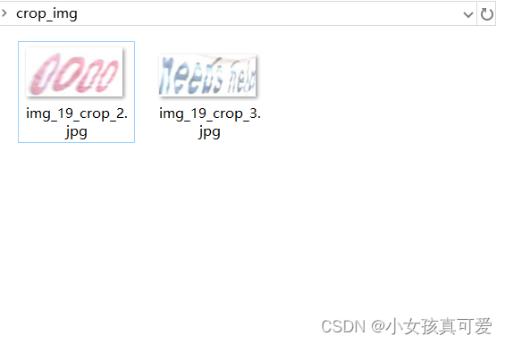 ppocrV4自带的标注软件的坑