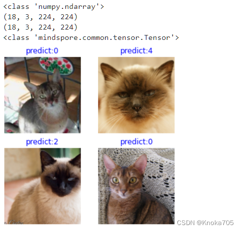 基于Mindspore，通过Resnet50迁移学习实现猫十二分类