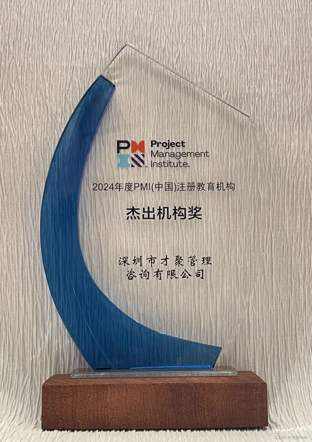 喜报|才聚荣获“2024年度PMI（中国）注册教育机构杰出机构奖”！