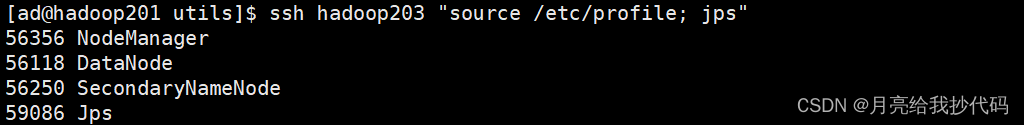 在 Linux 中通过 SSH 执行远程命令时，无法自动加载环境变量（已解决）