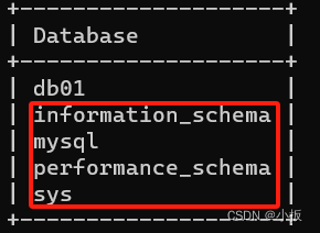 MySQL 篇-深入了解 DDL 语言（一）,第5张