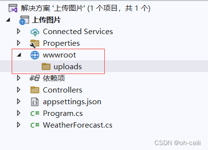 ASP.NET Core中实现个人资料上传图片功能