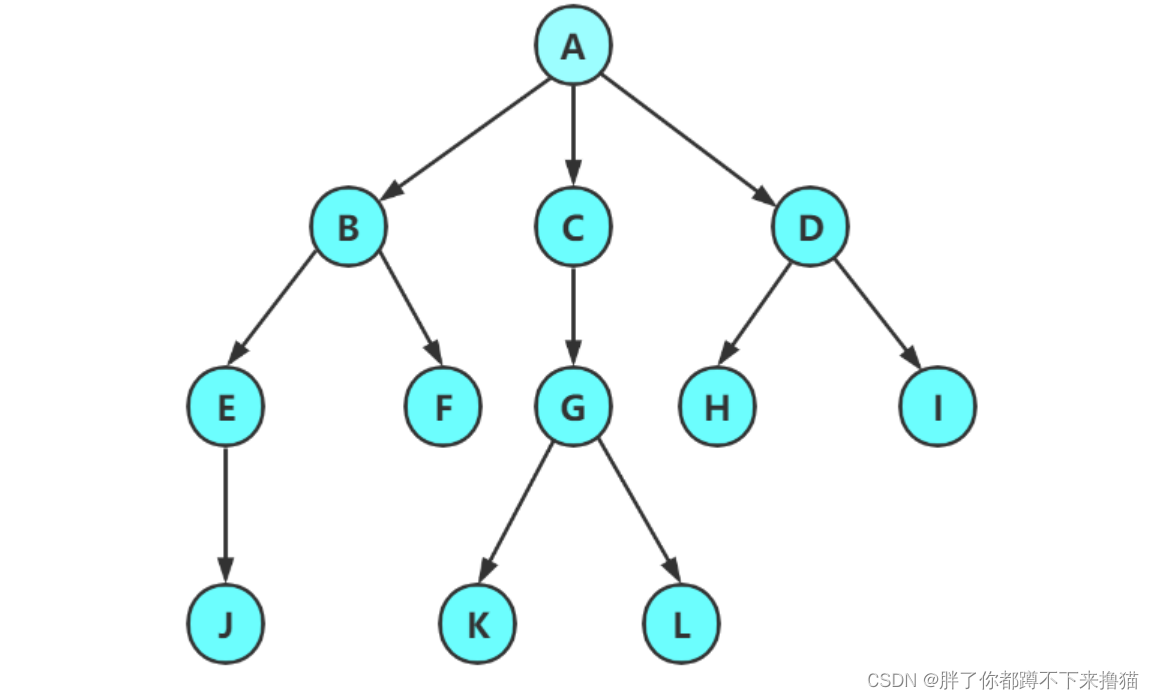 初学数据结构：二叉树