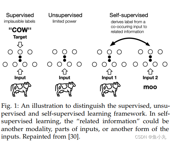 【<span style='color:red;'>论文</span><span style='color:red;'>阅读</span>】<span style='color:red;'>Self</span>-supervised Learning: Generative or Contrastive