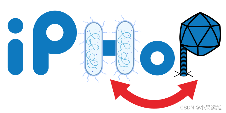 基于综合特征的细菌噬菌体宿主预测工具iPHoP (Integrated Phage HOst Prediction)的介绍以及使用方法详细流程