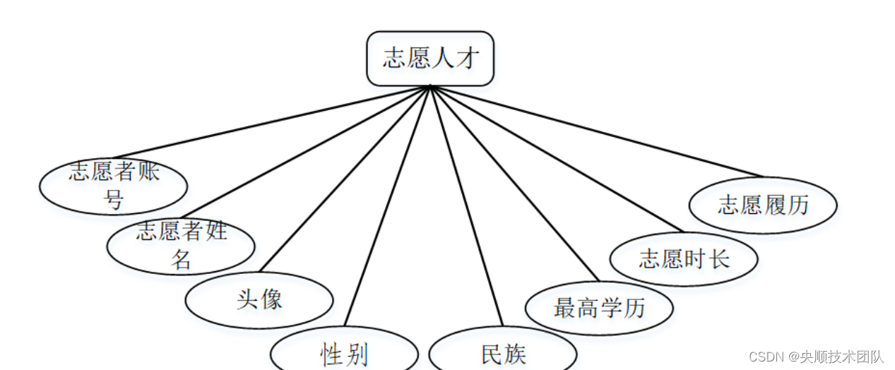 图4-4志愿人才实体图