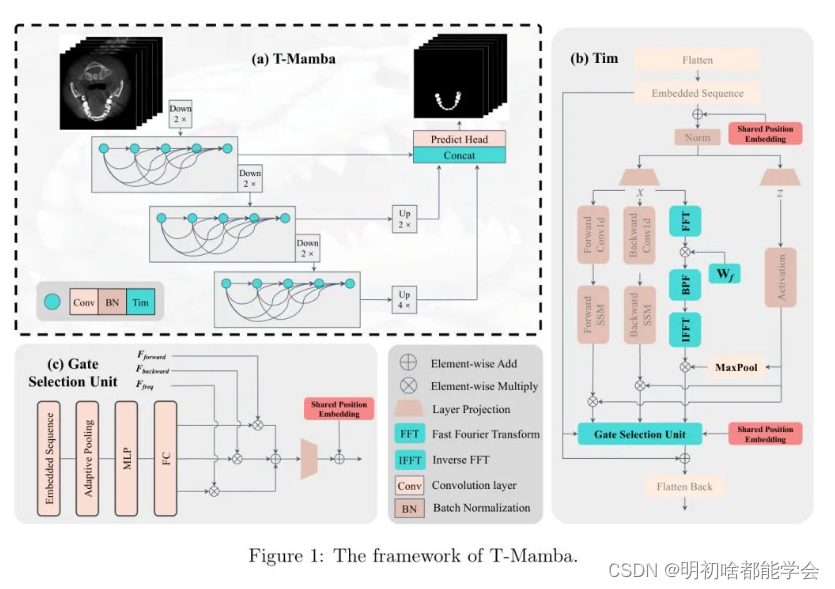 T-Mamba：用于牙齿 3D CBCT 分割的频率增强门控长程依赖性