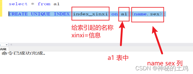 SQL Server 索引和视图