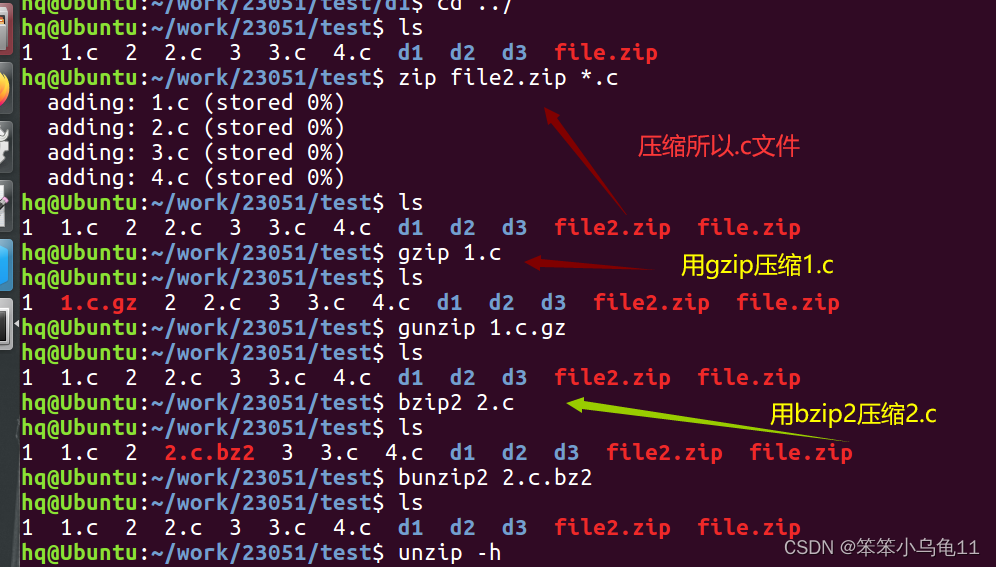  Linux Shell 脚本入门教程：开启你的自动化之旅