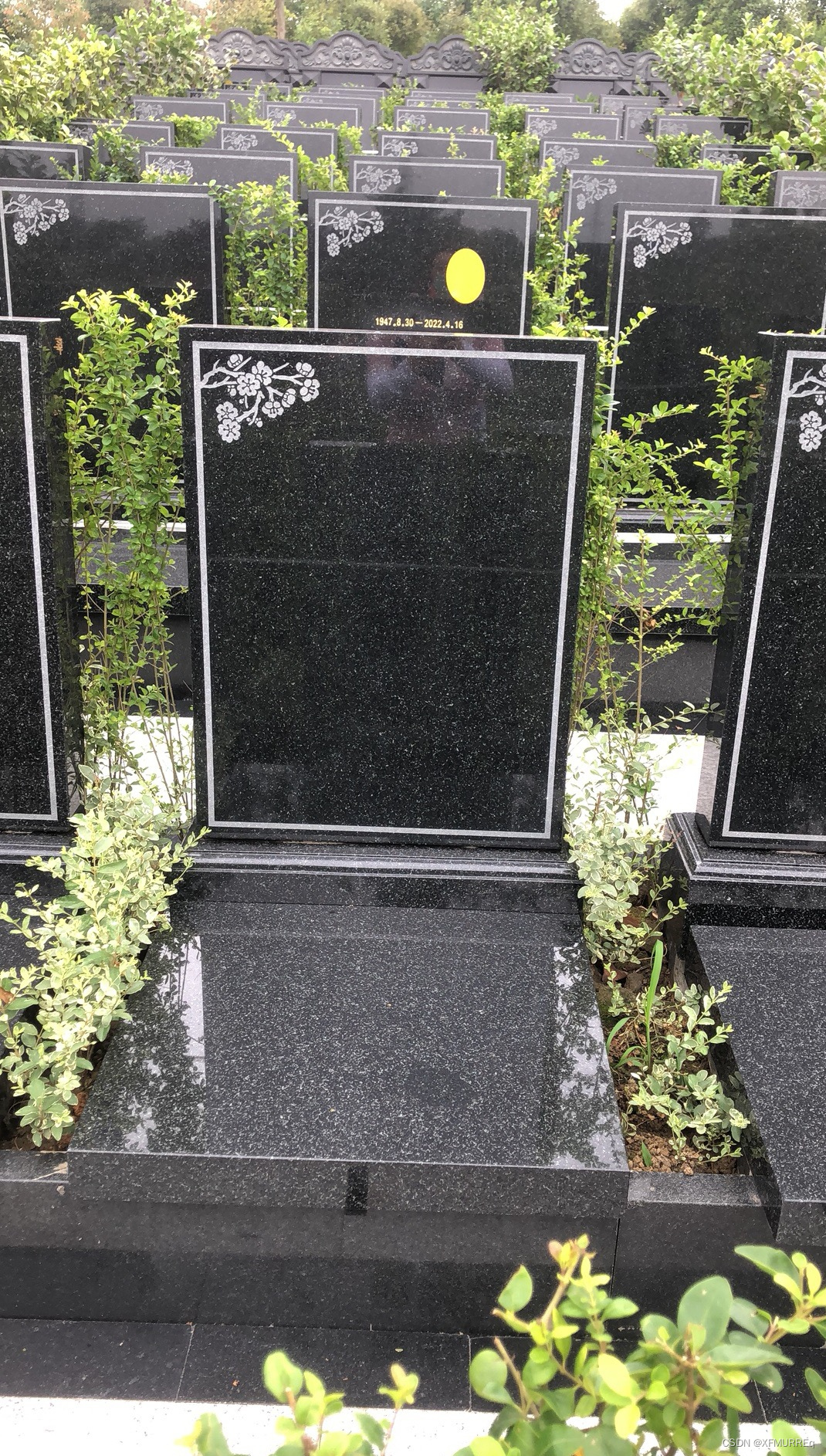 成都市公墓价格真相揭秘