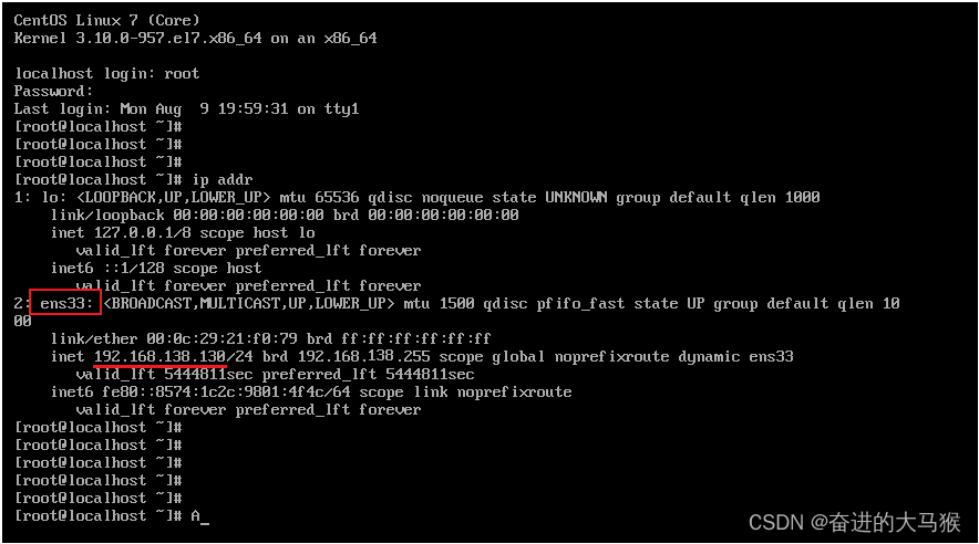 Linux最小系统安装无法查看IP地址