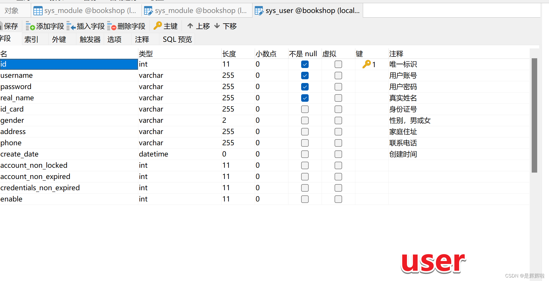 【Spring Security】打造安全无忧的Web应用--使用篇