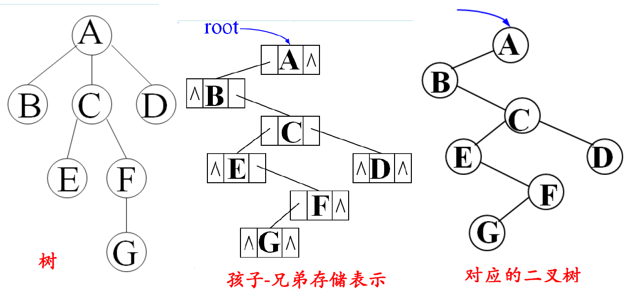 【数据结构】树与二叉树、树与森林部分习题以及算法设计例题 2