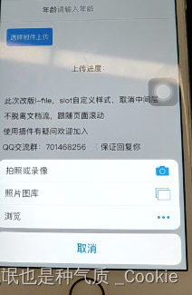 uniapp 实用组件（文件上传，用户多选）