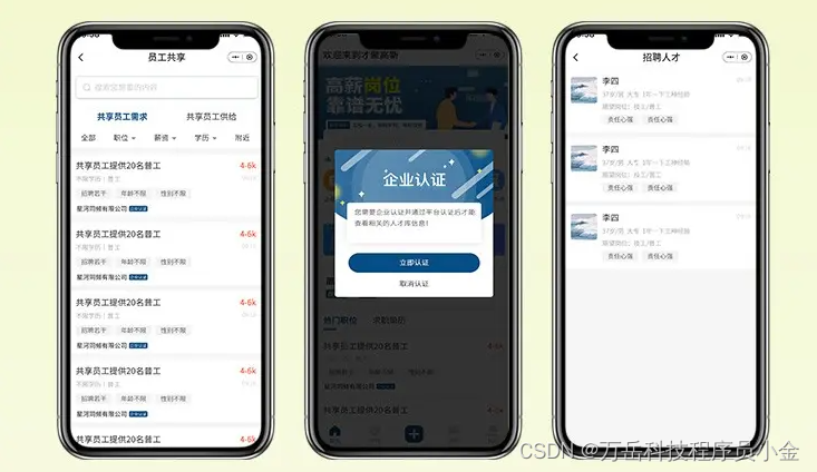 从概念到实现：开发一款招聘APP的技术指南