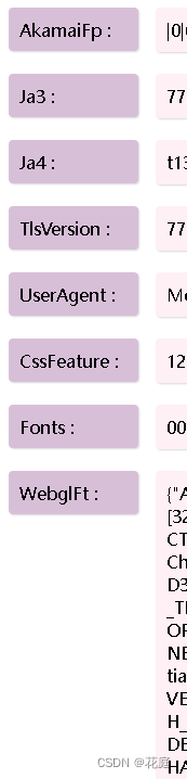 探索JavaScript逆向工程与风控等级