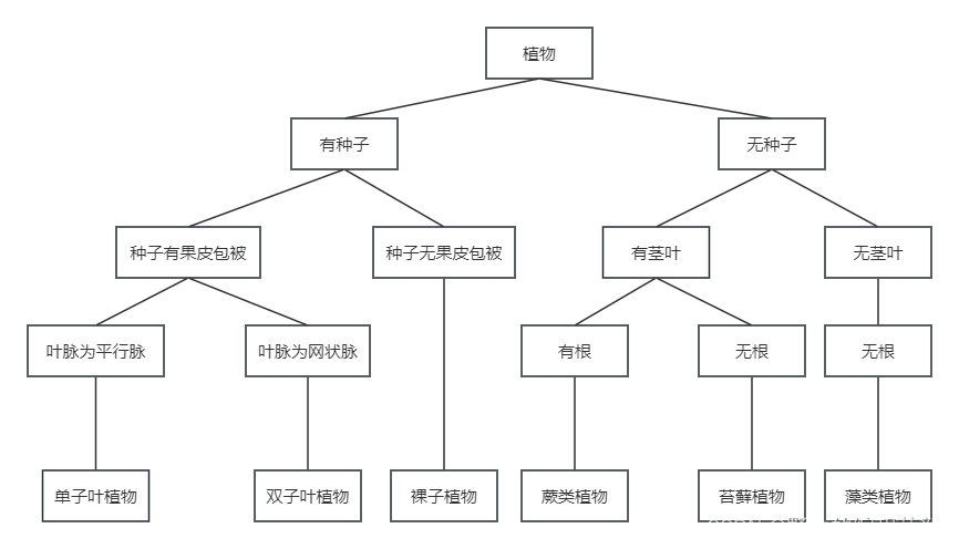 【数据结构】二叉树：简约和复杂的交织之美