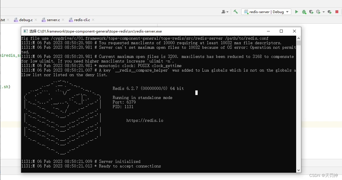 01 | 源码编译（Redis6.2.6源码CLion编译调试）