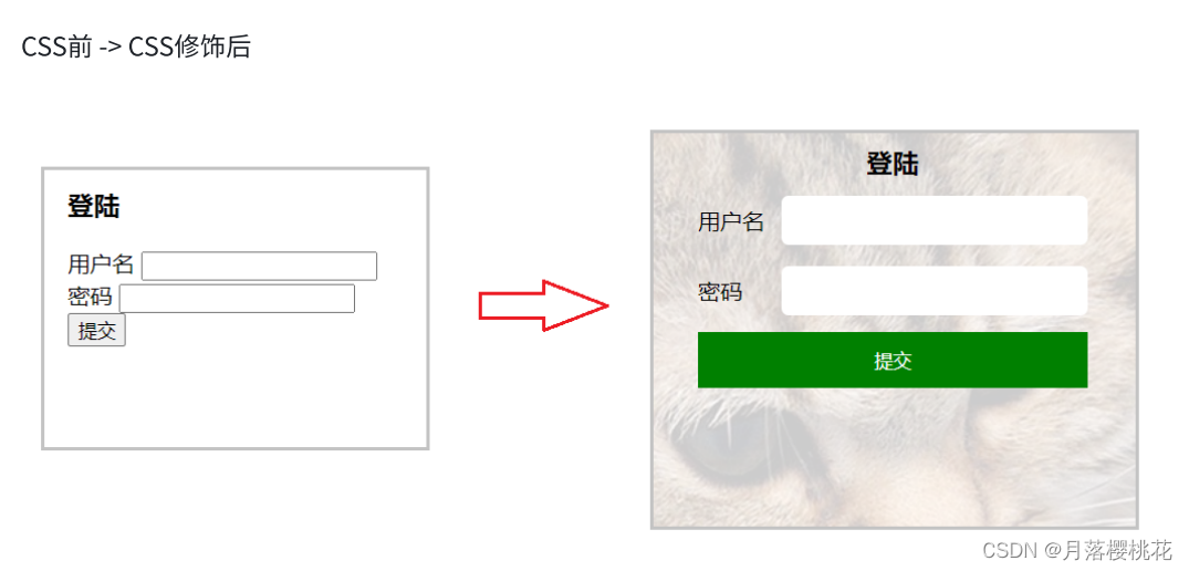 总结 CSS 选择器的常见用法