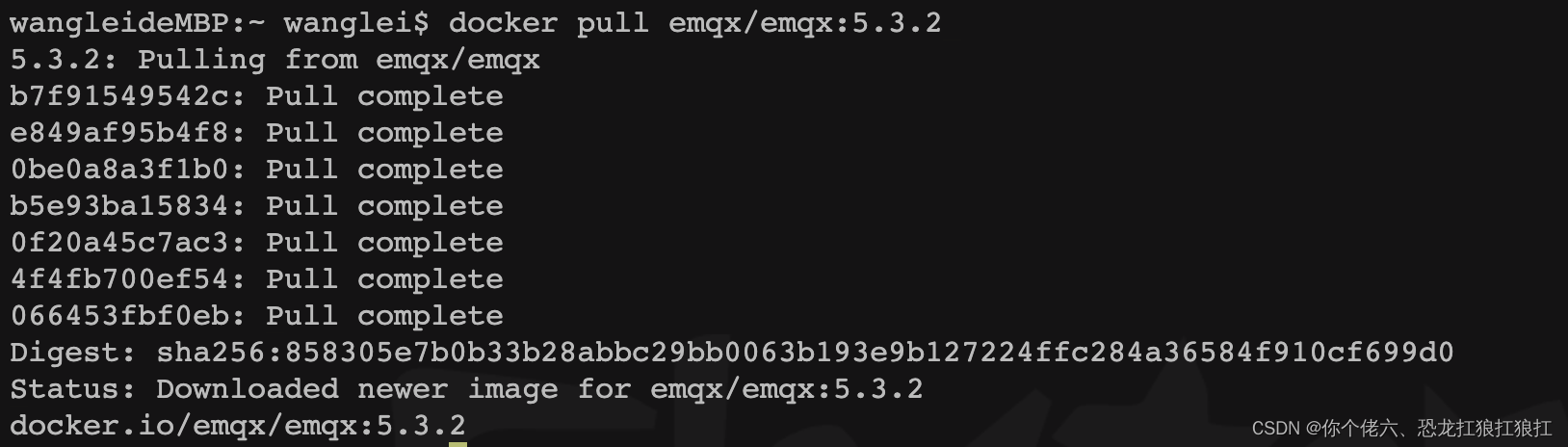 【物联网】EMQX(二)——docker快速搭建EMQX 和 MQTTX客户端使用