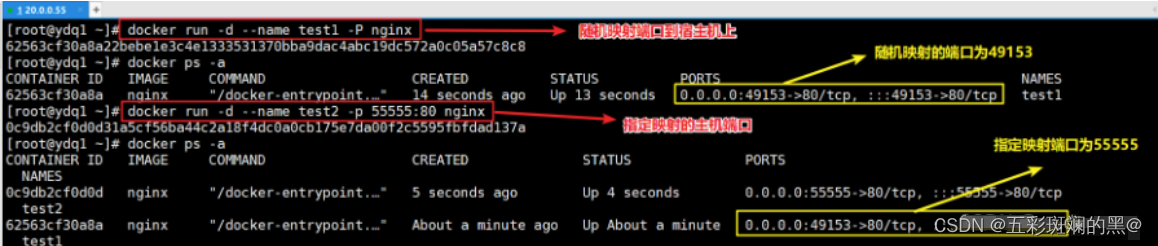 【docker】<span style='color:red;'>网络</span>模式<span style='color:red;'>管理</span>