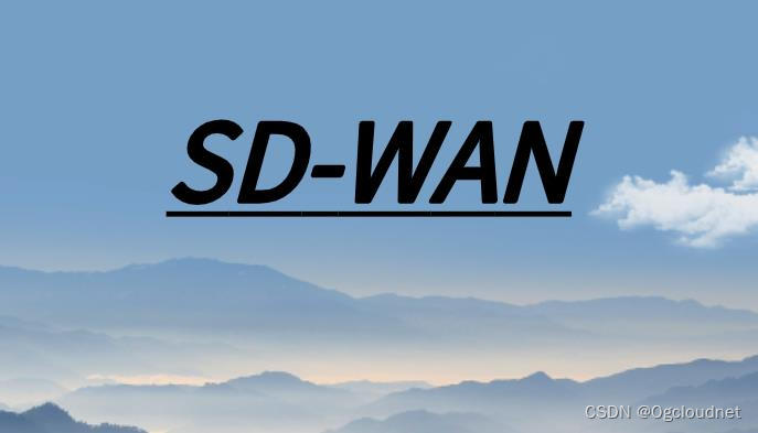 SD-WAN<span style='color:red;'>组</span><span style='color:red;'>网</span>方式<span style='color:red;'>详解</span>