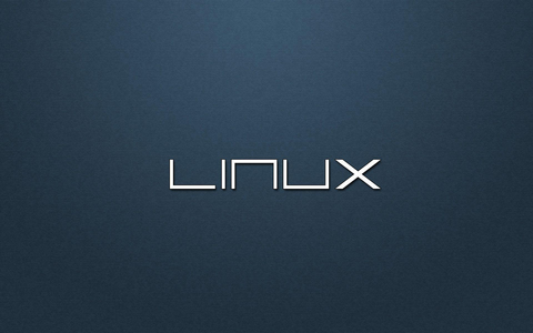 【Linux】线程互斥