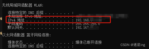 如何查询Windows 10电脑的IP地址