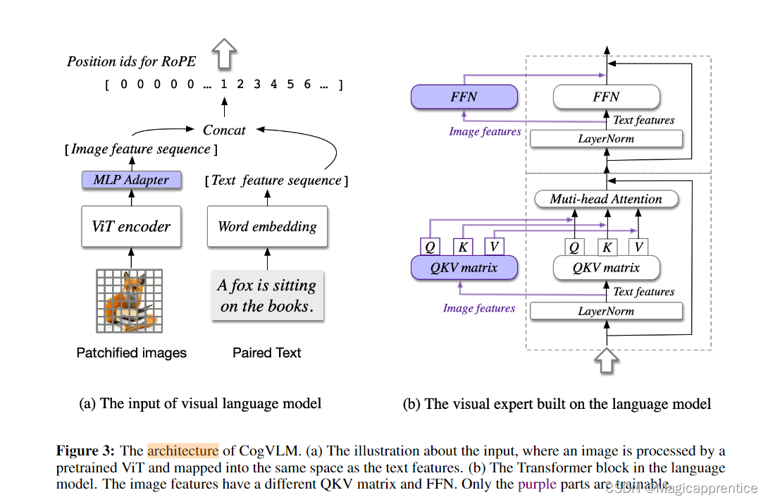 CogVLM 的架构。(a) 输入的图示，其中图像由预训练的 ViT 处理，并映射到与文本特征相同的空间。(b) 语言模型中的 Transformer 块。图像特征具有不同的 QKV 矩阵和 FFN。只有紫色部分是可训练的。
