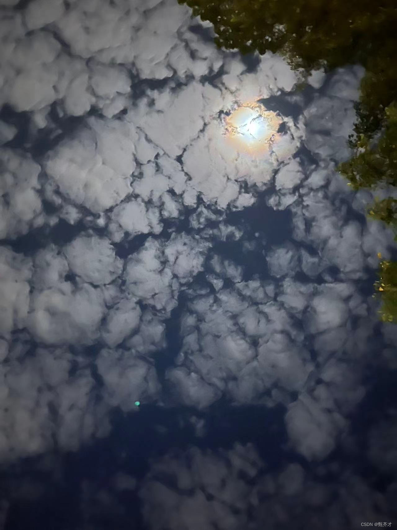 回望这风雨飘摇的一年过后，我们终将要整束行囊继续前行