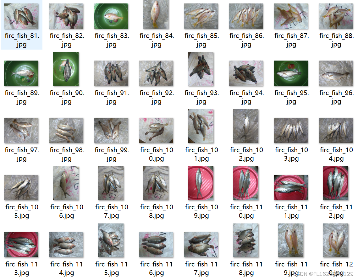 [数据集][目标检测]鱼头鱼尾检测数据集VOC+YOLO格式200张2类别