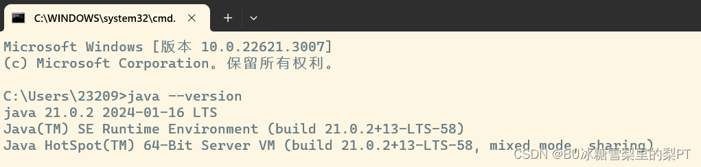 JDK Development Kit 21.0.2的安装和使用