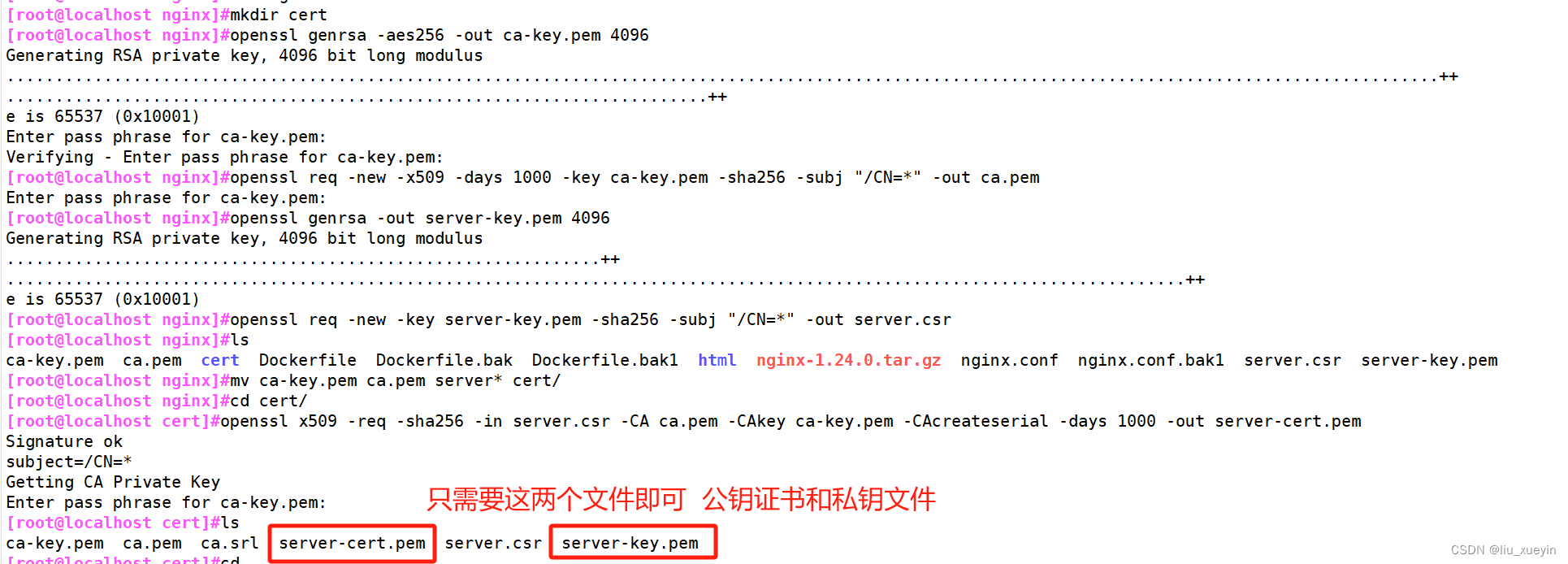 【云原生】docker容器实现https访问