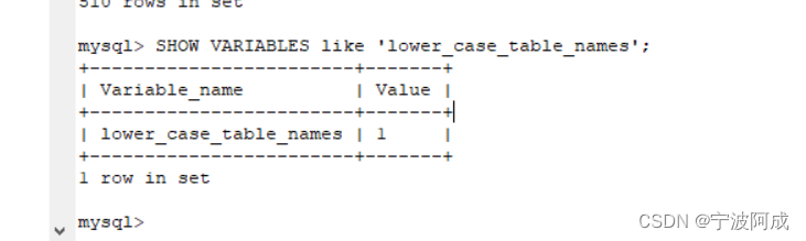 解决一个朋友的nbcio-boot的mysql数据库问题