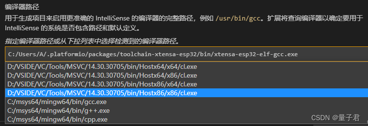 【ESP32填坑日记】问题篇⑧ VScode中提示无法使用compilerPath解析配置：“C:/xxx/xtensa-esp32-elf-gcc.exe“