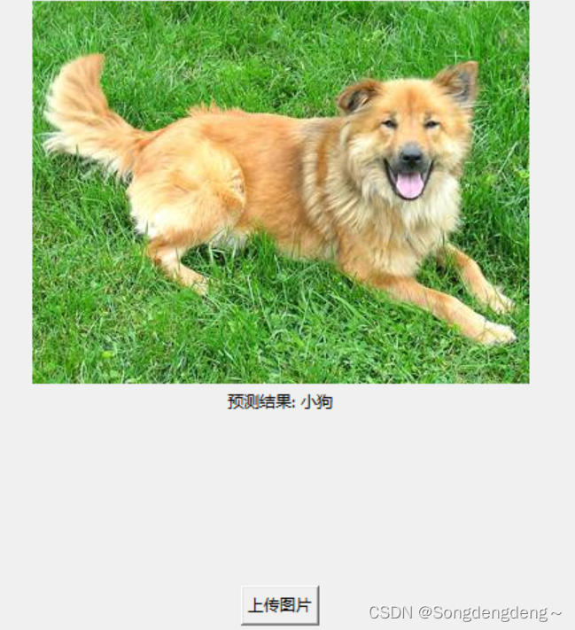 【Intel校企合作课程】Resnet18实现猫狗大战（猫狗识别）_如何构建resnet18模型实现猫狗分类优化应该怎么做-CSDN博客