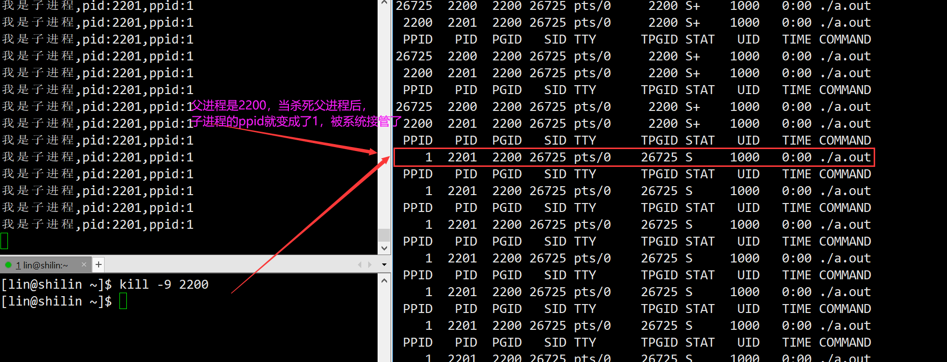 Linux进程概念僵尸进程孤儿进程