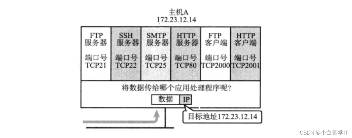 <span style='color:red;'>传输</span>层——<span style='color:red;'>再</span><span style='color:red;'>谈</span>端口号