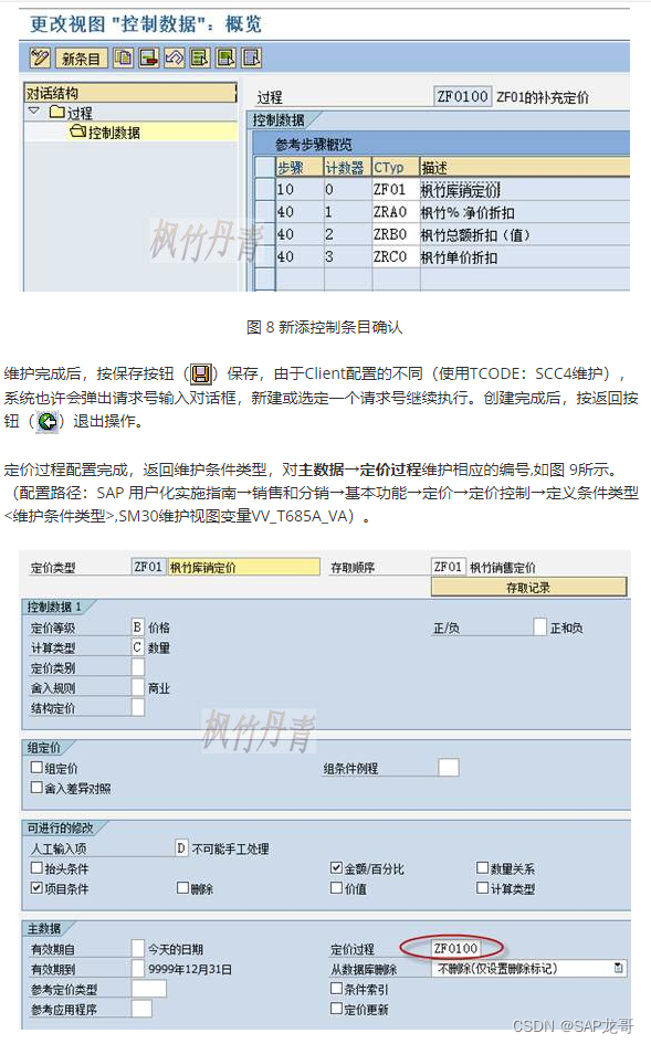 SAP-SD-21-定义用于定价补充的定价过程