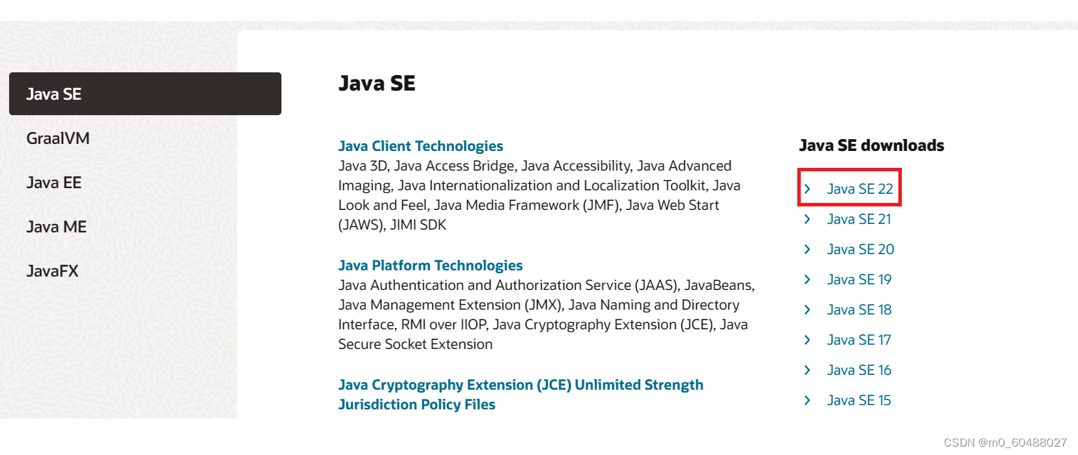 选择Java SE 22