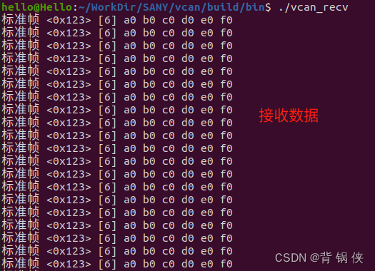 Ubuntu20.04 上启用 VCAN 用作本地调试