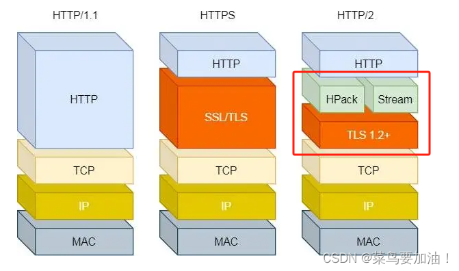 HTTP/1.1、HTTP/2、HTTP/3 基本概述