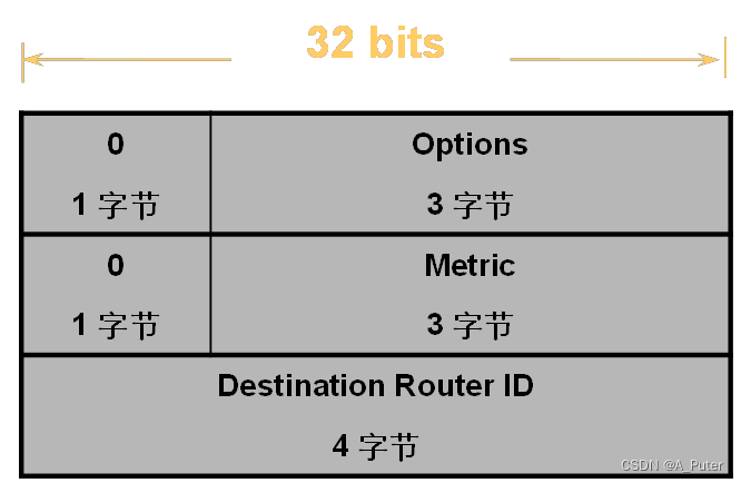 IPv6路由协议---IPv6动态路由(OSPFv3-5)