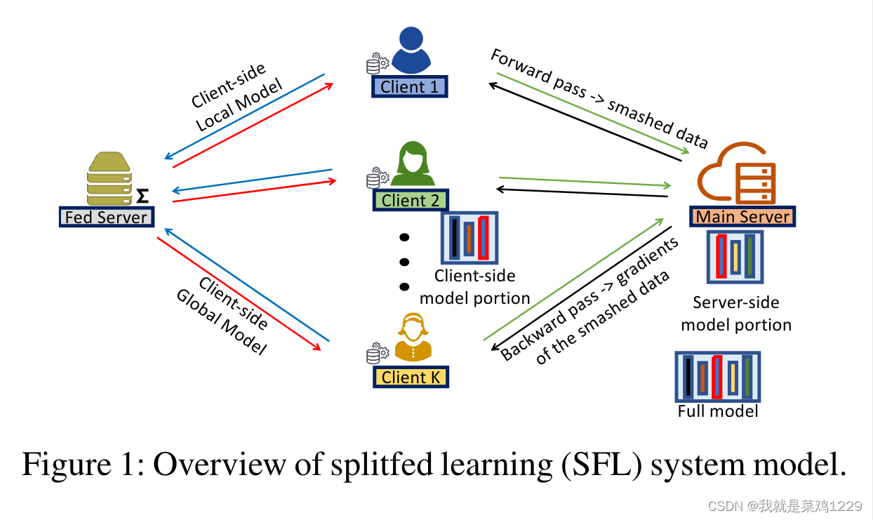 【论文阅读——SplitFed: When Federated Learning Meets Split Learning】