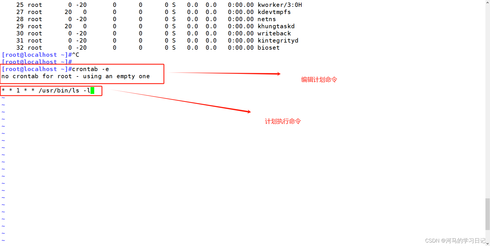 Linux程序、进程和计划任务