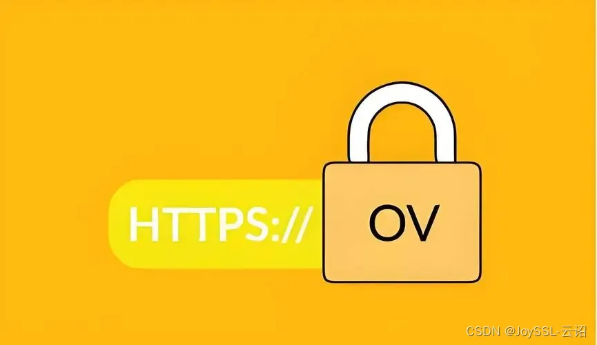 OV SSL比DV SSL更好吗