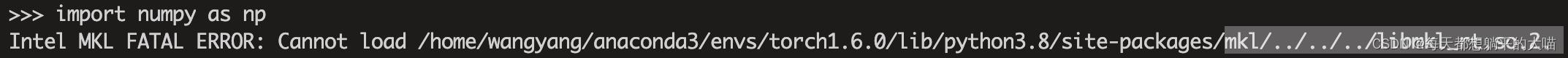 【python报错】Intel MKL FATAL ERROR: Cannot load mkl/../../../libmkl_rt.so.2.