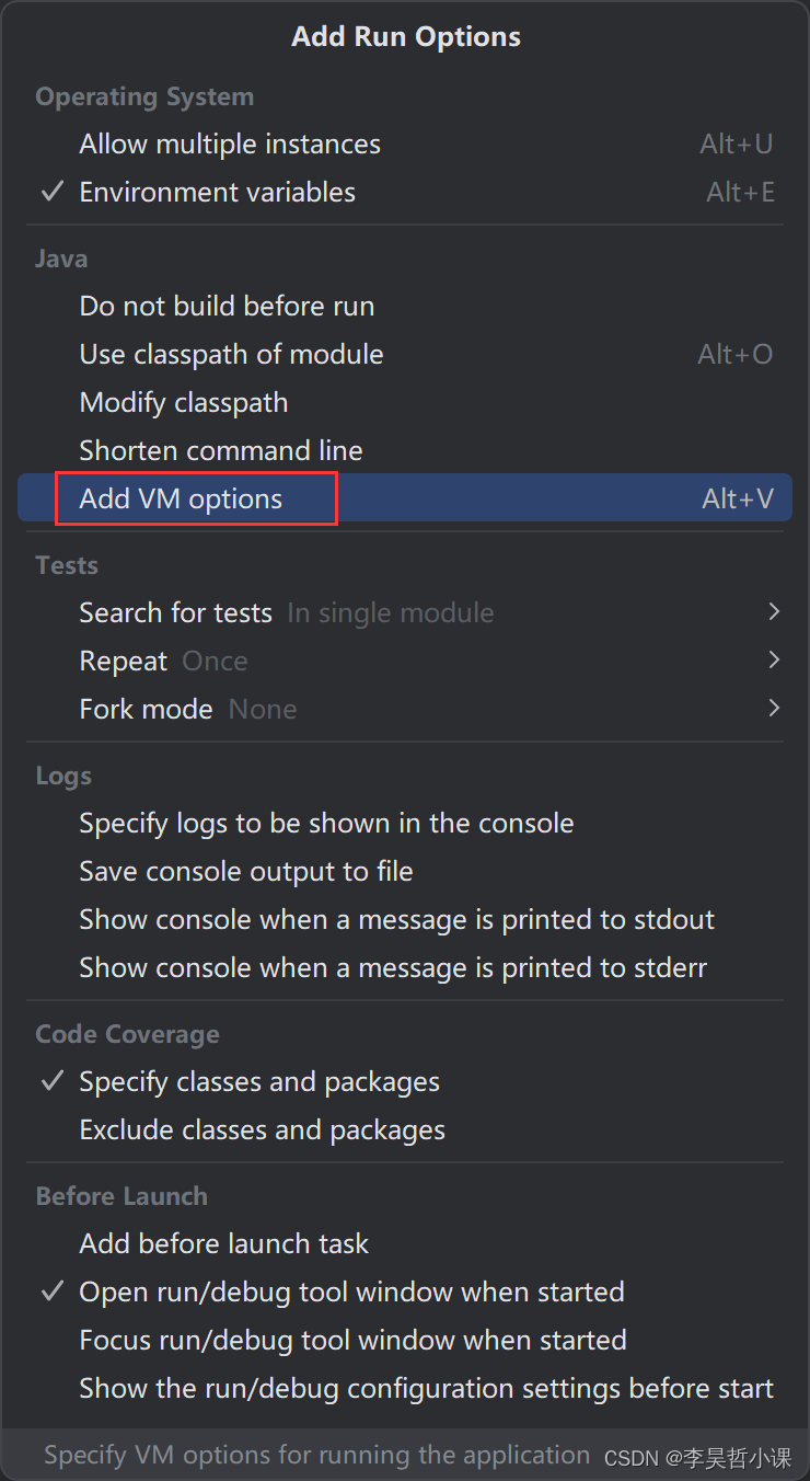 add vm options